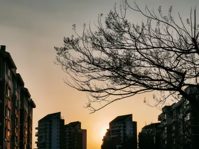 Casino Craze Play Mobil App